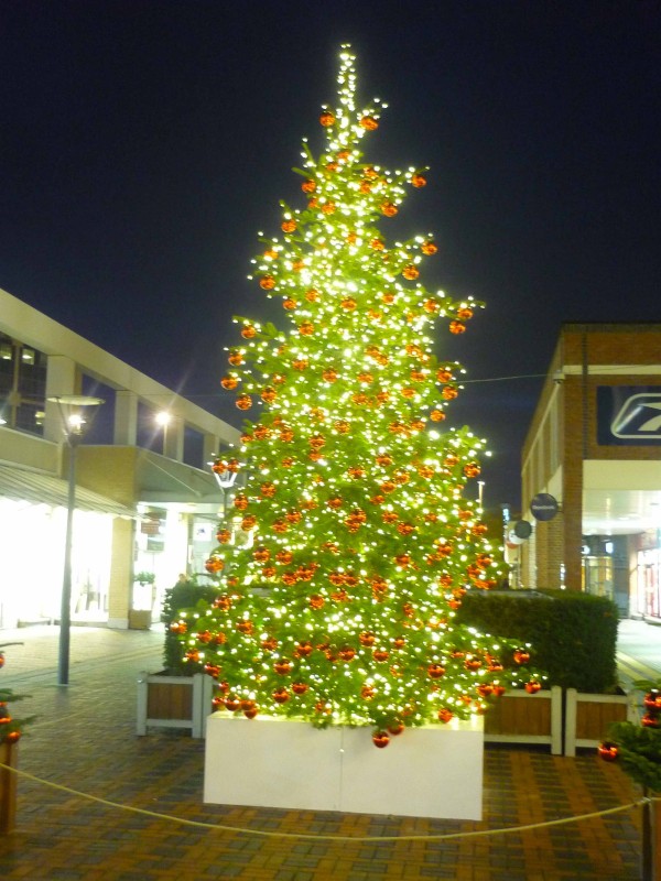 Présentation de sapin de Noël des fêtes dans espace commercial